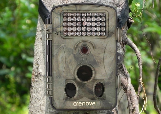 Crenova RD1000 Trail Camera